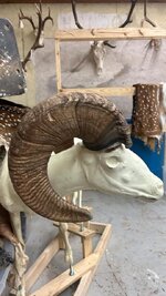 IMG_0454.jpeg