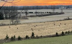 IMG_20211127_161739.jpg