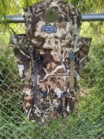 IMG_4434.jpeg