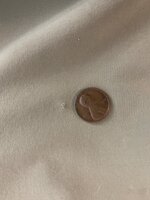 IMG_6241.jpeg