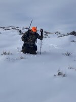 438651F7-180D-4260-816B-74AB9856C692.jpeg 438651F7-180D-4260-816B-74AB9856C692.jpeg