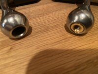 IMG_8499.jpeg