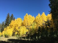 IMG_6574.jpeg