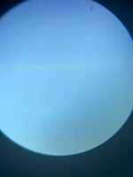 IMG_0029.jpeg
