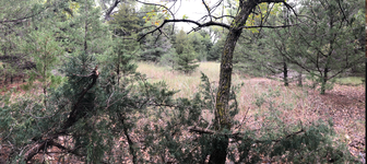 Screenshot 2023-08-07 094726.png