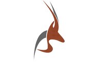 Happy Antelope Limited Antelope Only.jpg