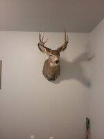 20230808_204109.jpg