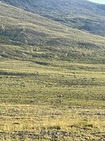 IMG_5623.jpeg