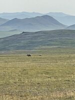 IMG_5766.jpeg