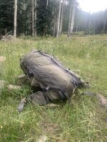 IMG_2022.jpeg