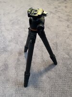 IMG_7351.jpeg