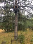 treestandman.jpg