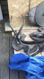 IMG_8182 Medium.jpeg