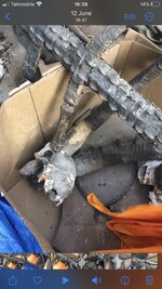 IMG_8184 Medium.jpeg