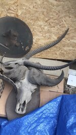 IMG_8185 Medium.jpeg