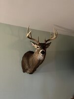 IMG_4355.jpeg