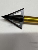 5CB638C2-0809-487D-AA25-8A0FC1071623.jpeg