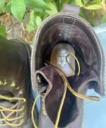 IMG_0732.jpeg
