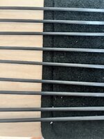 IMG_1138.jpeg