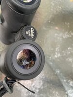 IMG_6161.jpeg