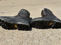 IMG_2336.jpeg