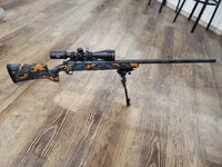 20230815_190036.jpg 20230815_190036.jpg