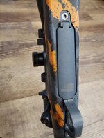 20230815_190217.jpg 20230815_190217.jpg