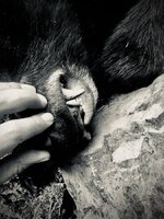 IMG_8587.jpeg