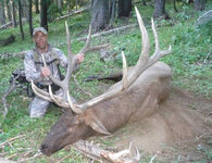 walla bull 1_Clean-Cropped.jpg
