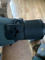 IMG_0907.jpeg