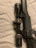 IMG_9401.jpeg