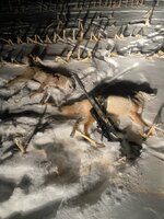 IMG_4914.jpeg