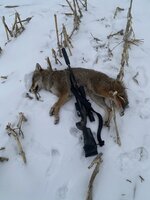 IMG_4894.jpeg