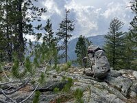 IMG_2386.jpg