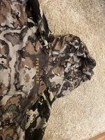IMG_2465.jpeg