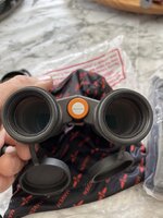IMG_2350.jpeg