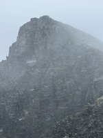 IMG_8391.jpeg