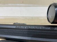 IMG_9353.jpeg