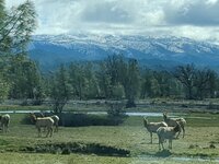 IMG_20230323_113245_740.jpg
