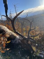 IMG_1257.jpeg