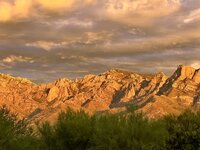 IMG_8464.jpeg