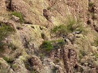 IMG_3398.jpeg