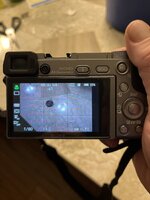 IMG_0376.JPEG