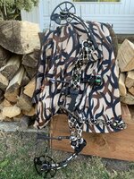 IMG_3720.jpeg