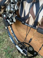 IMG_3724.jpeg