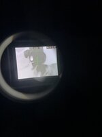 IMG_4893.jpeg