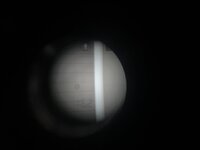 IMG_4885.jpeg