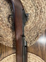 IMG_6882.jpeg