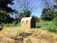 IMG_3084.jpeg