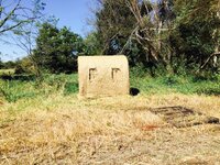 IMG_3083.jpeg